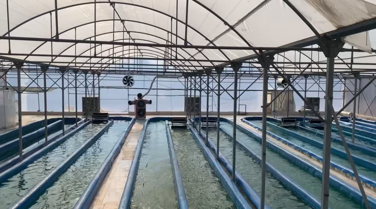 مسیر ما در دنیای سلامت و سوپرفود